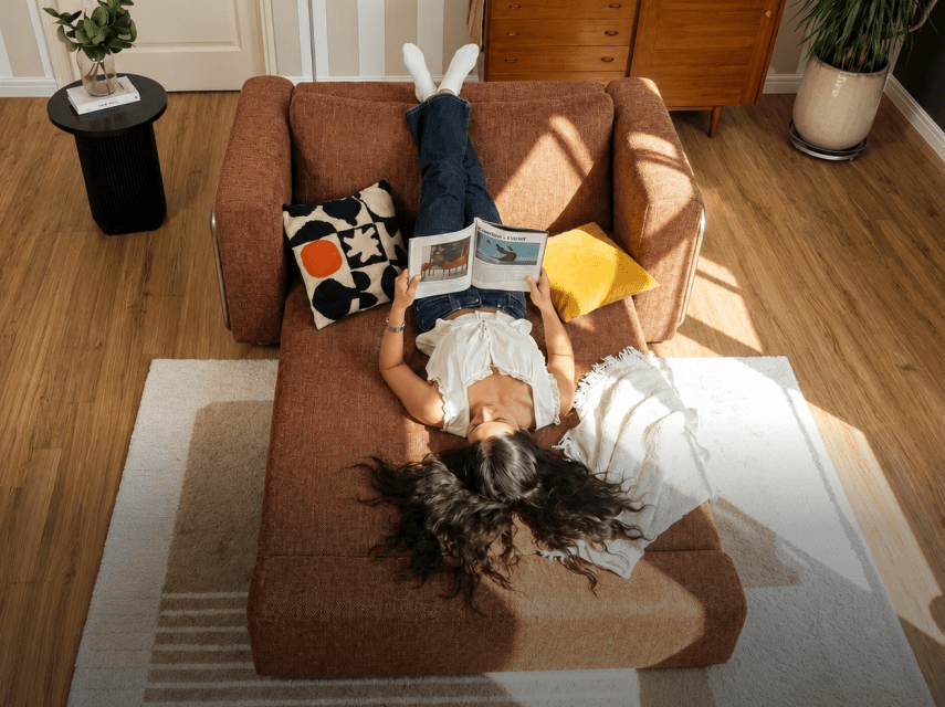 Snuggle Sleeper Sofa Guide - Cushie