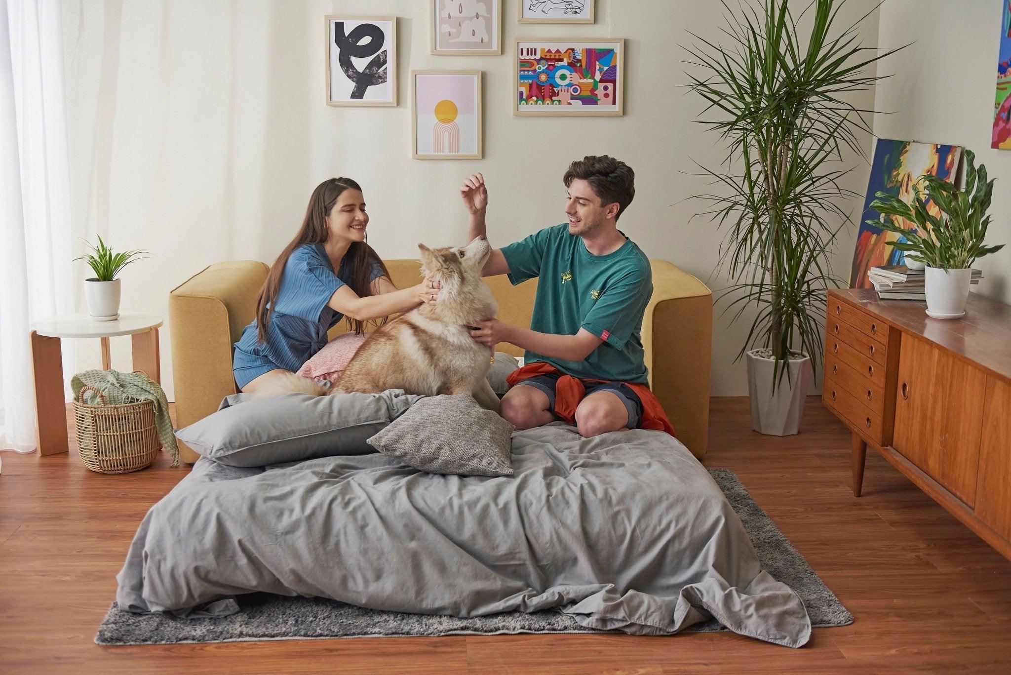 Cushie Queen Sleeper Sofa - Cushie