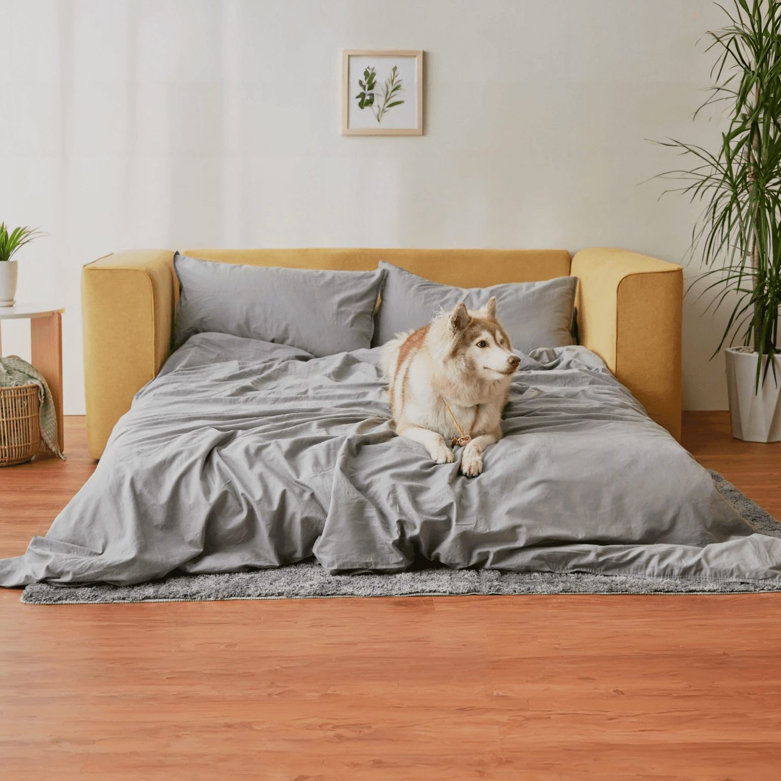 Cushie Queen Sleeper Sofa - Cushie
