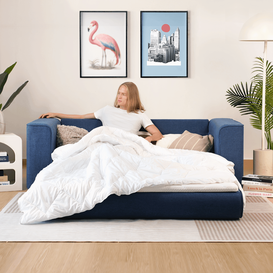 Cushie Queen Sleeper Sofa - Cushie