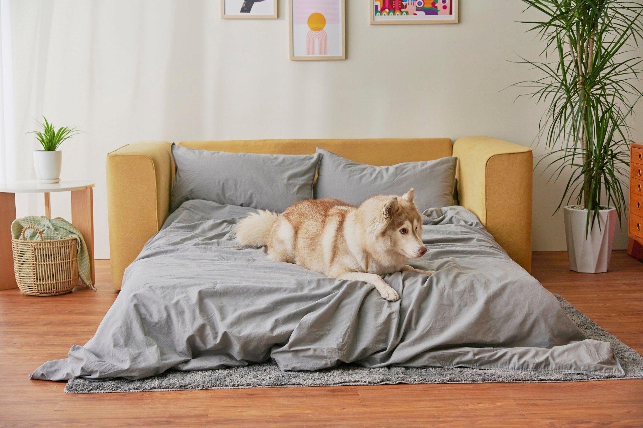 Cushie Queen Sleeper Sofa - Cushie