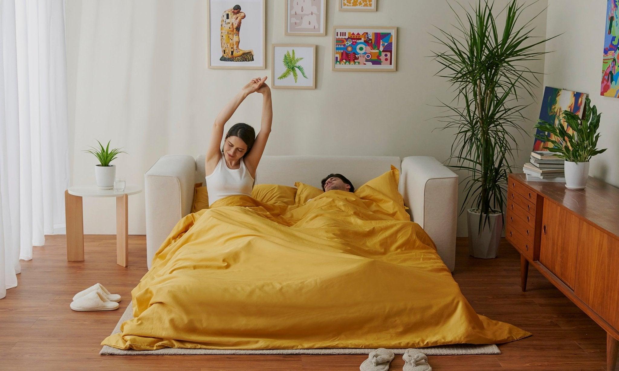 Cushie Queen Sleeper Sofa - Cushie